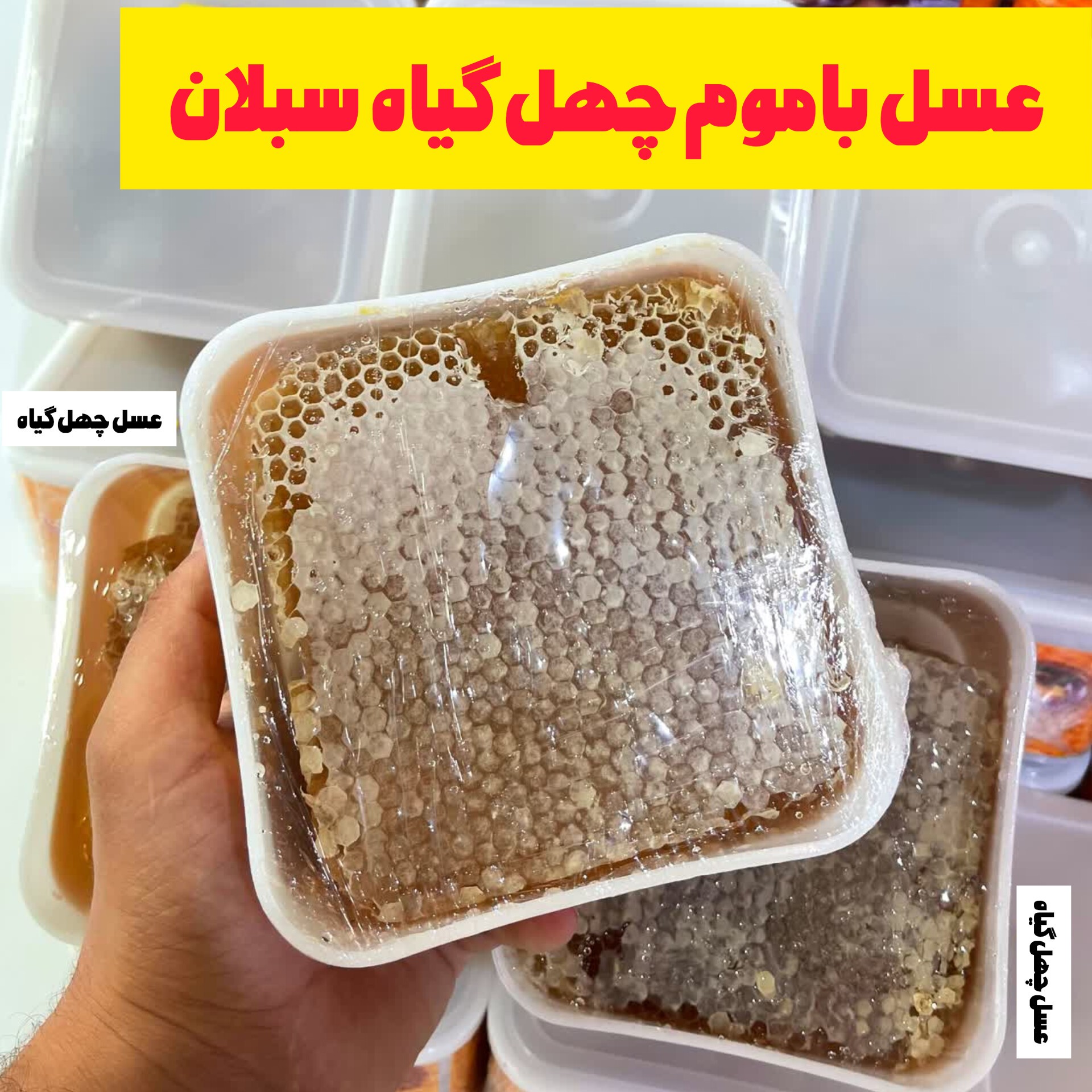 عسل طبیعی چهل گیاه باموم سبلان( یک کیلویی)