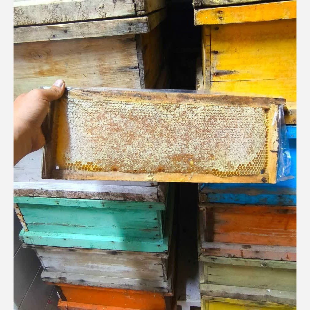 عسل طبیعی صبحانه ( عسل سبلان باموم، عسل سبلان، عسل چهل گیاه) ارسال رایگان