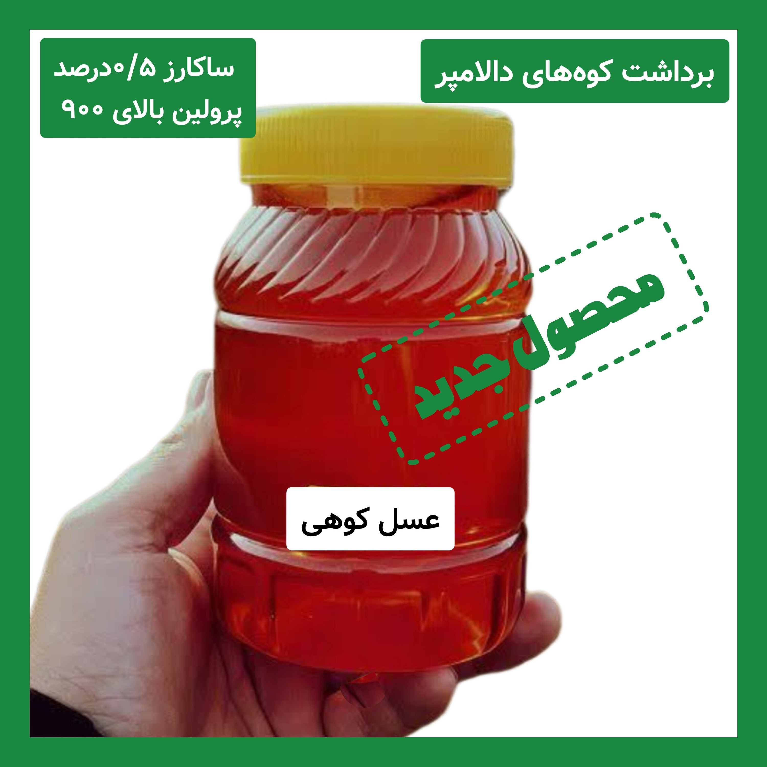 عسل کوهی برداشت کوه های دالامپر کیفیت ممتاز
