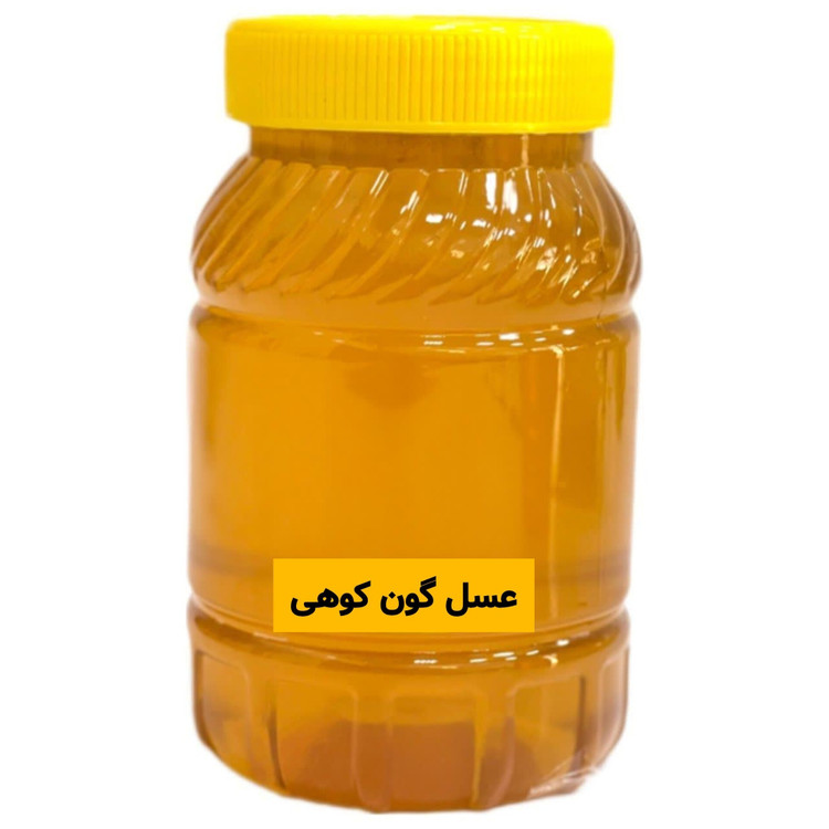 عسل طبیعی گون کوهی یک کیلویی(خرید از زنبوردار) ارسال رایگان