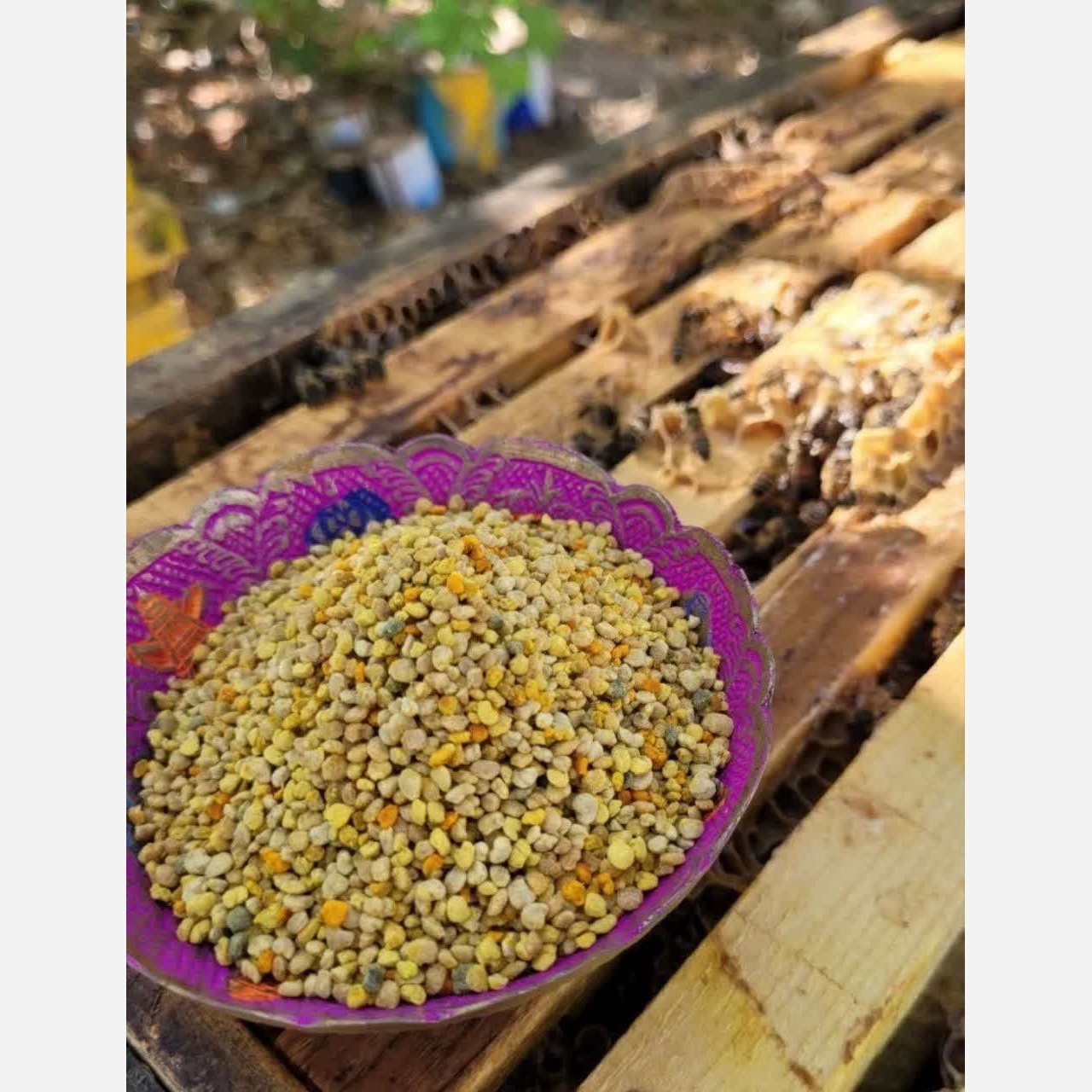 گرده گل کوهستانی (100 گرمی) مولتی ویتامین طبیعی خاویار گیاهی