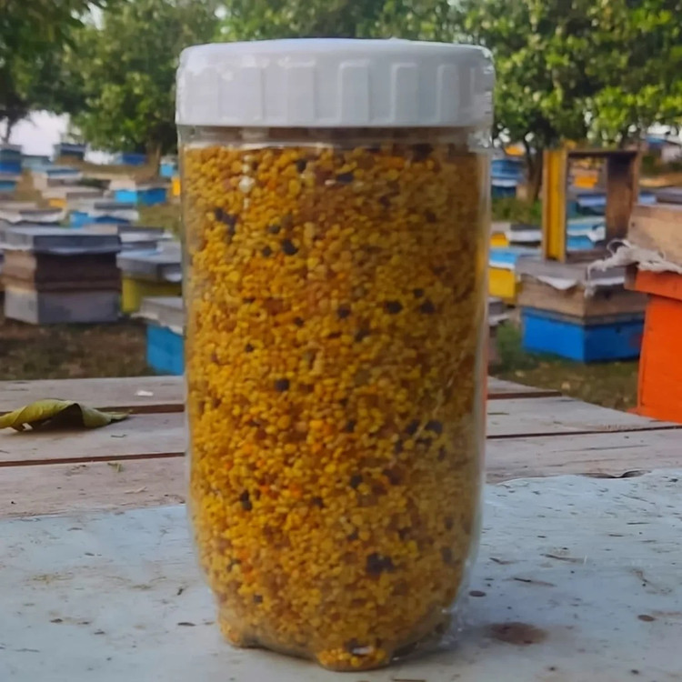 گرده گل کوهستانی (100 گرمی) مولتی ویتامین طبیعی خاویار گیاهی