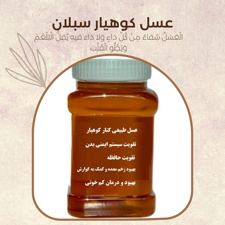 عسل کنار اصل ( خرید از زنبوردار) ارسال رایگان