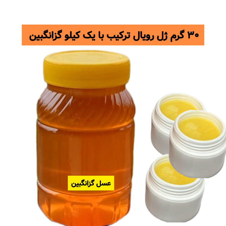 ژل رویال ترکیب با عسل طبیعی گزانگبین