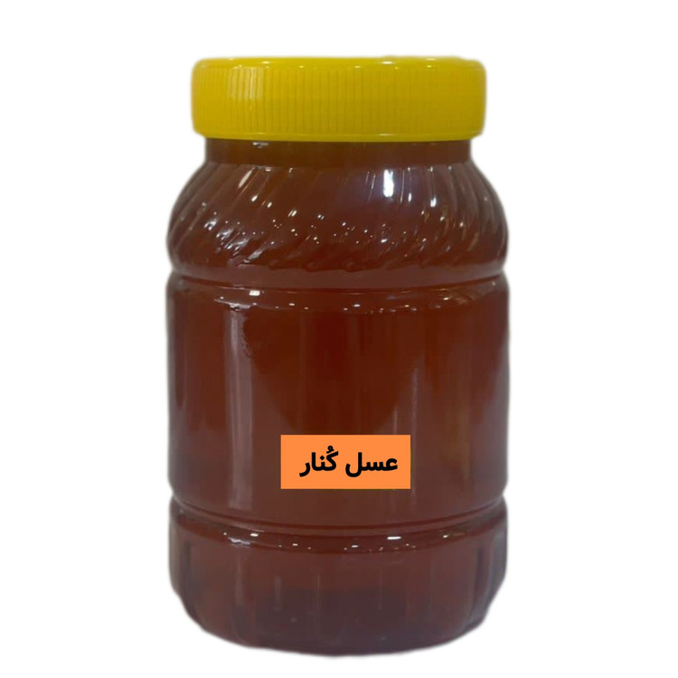 عسل کنار اصل ( خرید از زنبوردار) ارسال رایگان