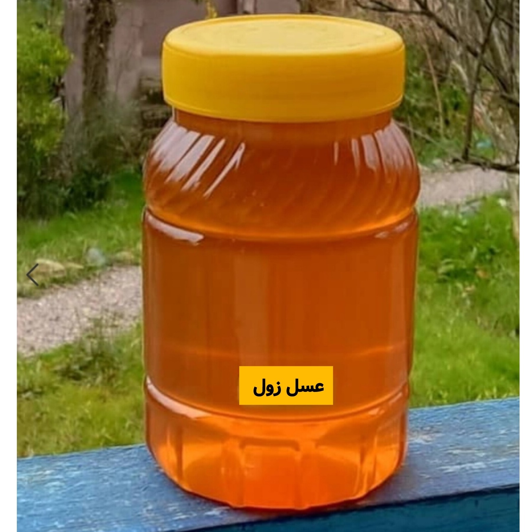 عسل طبیعی زول (بوقناق) خرید از زنبوردار ارسال رایگان
