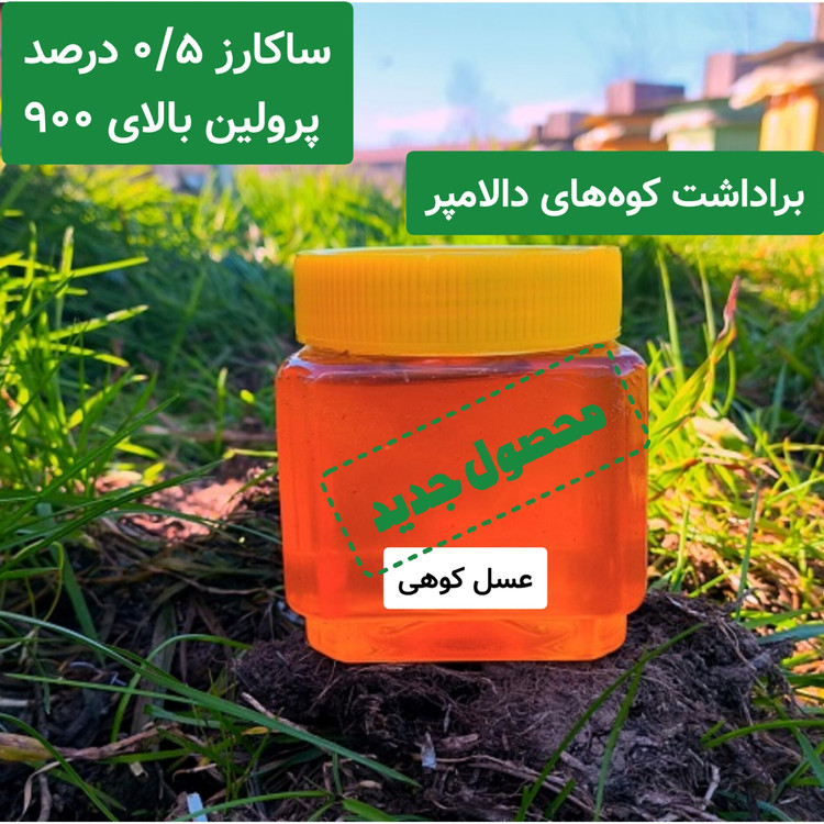 عسل کوهی برداشت کوه های دالامپر کیفیت ممتاز (نیم کیلویی)