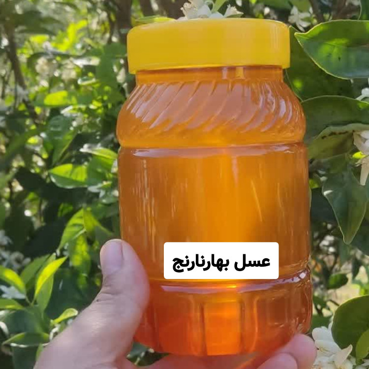 عسل طبیعی بهار نارنج برداشت اردیبهشت(مستقیم از زنبوردار)ارسال رایگان