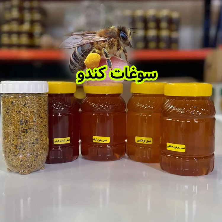 عسل طبیعی و گرده گل ( تخفیف ویژه)