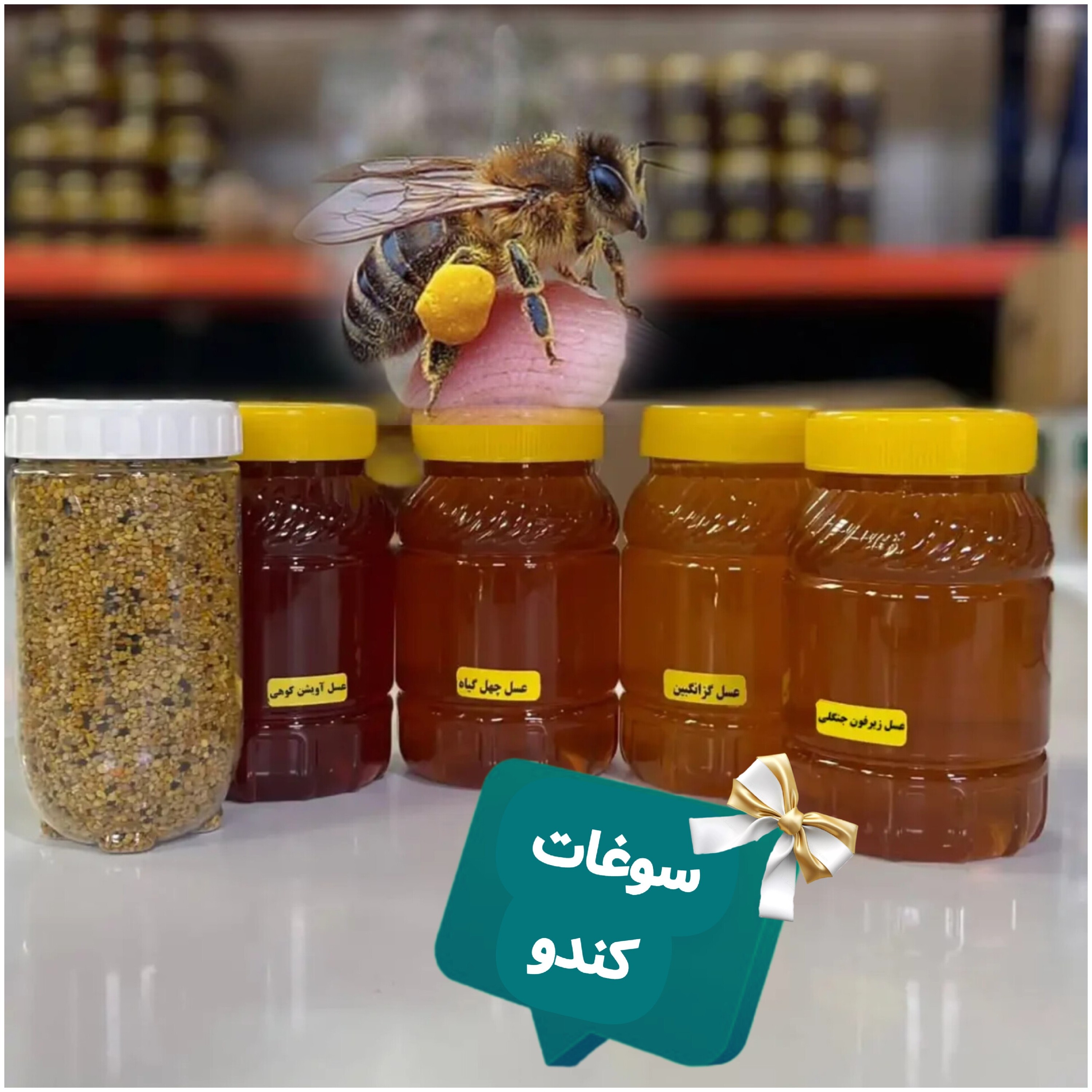 عسل طبیعی و گرده گل ( تخفیف ویژه)
