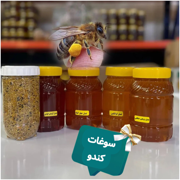عسل طبیعی و گرده گل ( تخفیف ویژه)