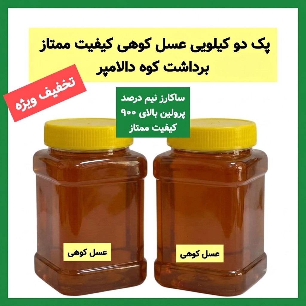 عسل کوهی برداشت کوه های دالامپر کیفیت ممتاز (2 کیلویی با تخفیف ویژه)