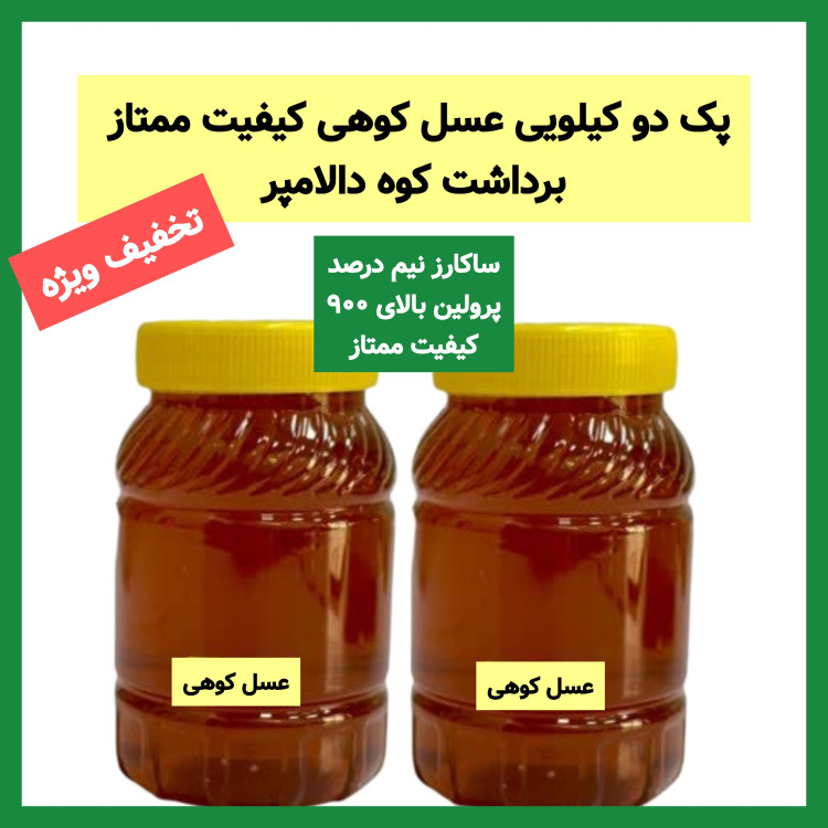 عسل کوهی برداشت کوه های دالامپر کیفیت ممتاز (2 کیلویی با تخفیف ویژه)