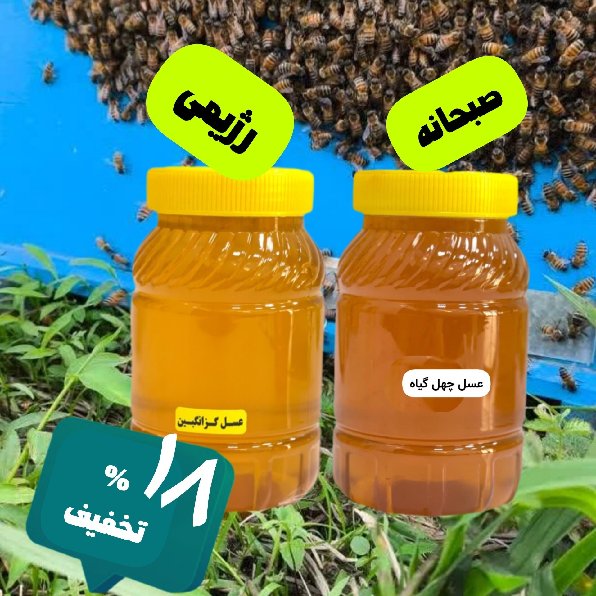 عسل صبحانه و رژیمی ( چهل گیاه + گزانگبین)