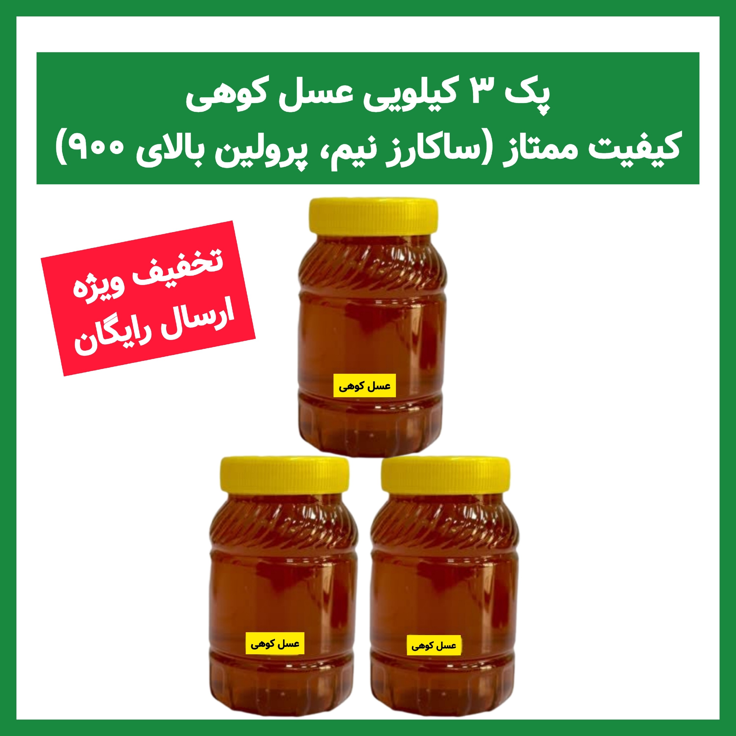 عسل کوهی برداشت کوه های دالامپر کیفیت ممتاز ( 3 کیلویی)