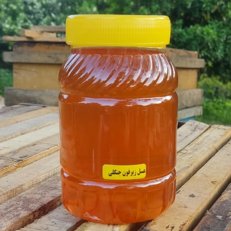 عسل طبیعی سه تایی کوهیار (پک ویژه برا خاص پسندا)