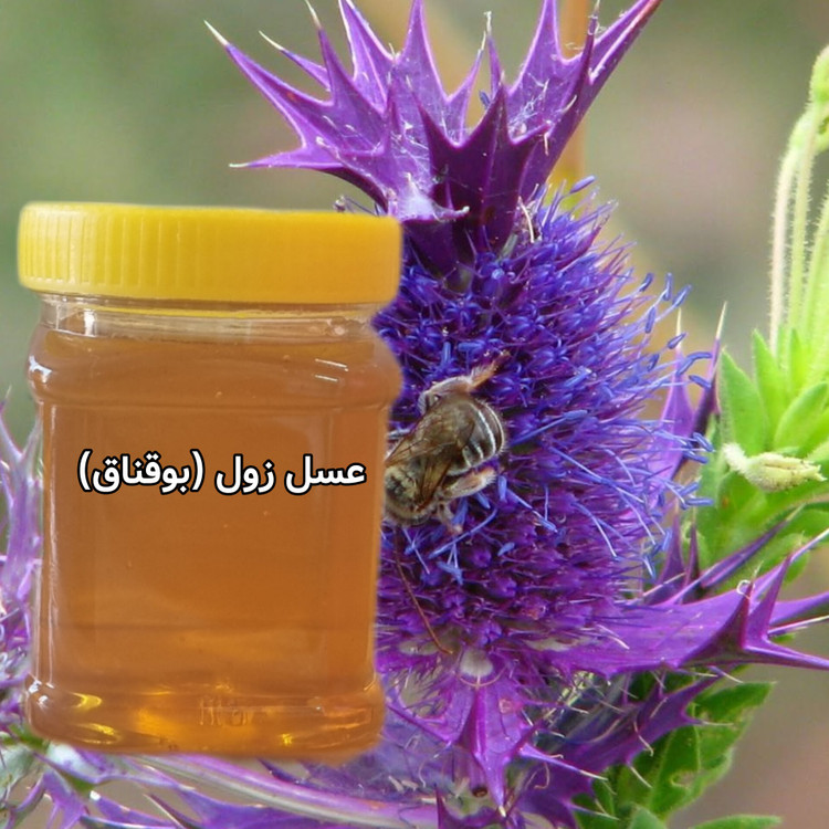 عسل طبیعی زول یا بوقناق خرید از زنبوردار نیم کیلویی