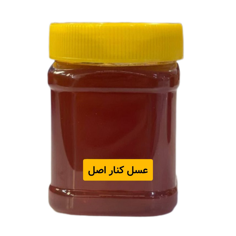 عسل طبیعی اصل کنار (نیم کیلویی)خرید از زنبوردار