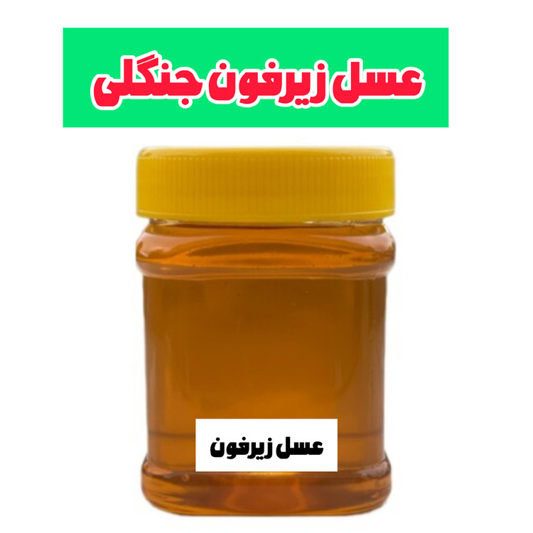 عسل طبیعی زیرفون جنگلی ساکارز زیر یک درصد نیم کیلویی