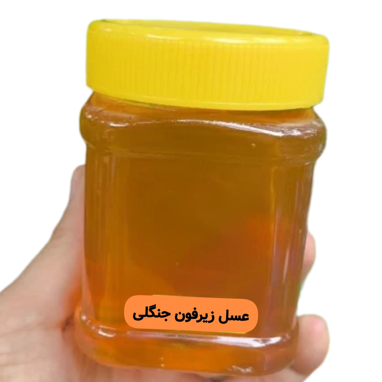عسل طبیعی زیرفون جنگلی ساکارز زیر یک درصد نیم کیلویی