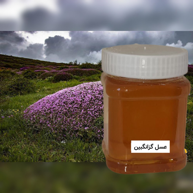 عسل گزانگبین ( نیم کیلویی) خرید مستقیم از زنبوردار