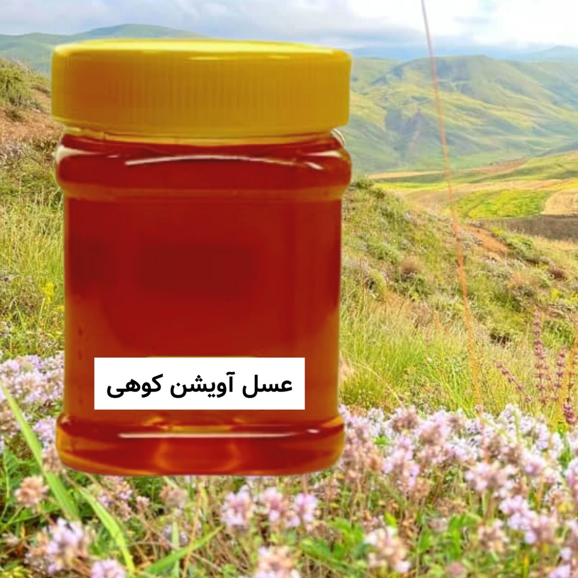 عسل طبیعی آویشن کوهی ( نیم کیلویی) ساکارز زیر یک خرید از زنبوردار