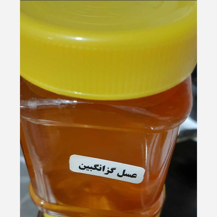 عسل گزانگبین ( نیم کیلویی) خرید مستقیم از زنبوردار