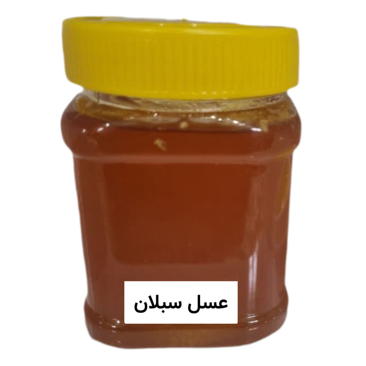 عسل طبیعی سبلان (نیم کیلویی)خرید از زنبوردار