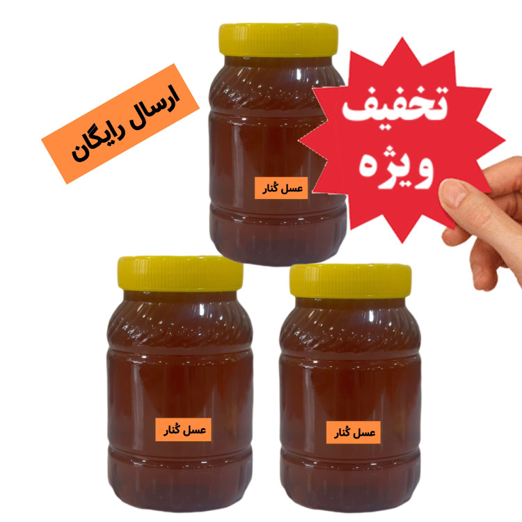 عسل طبیعی کنار اصل سه کیلویی درجه یک ساکارز 4 درصد ( خرید از زنبوردار) ارسال رایگان تخفیف ویژه