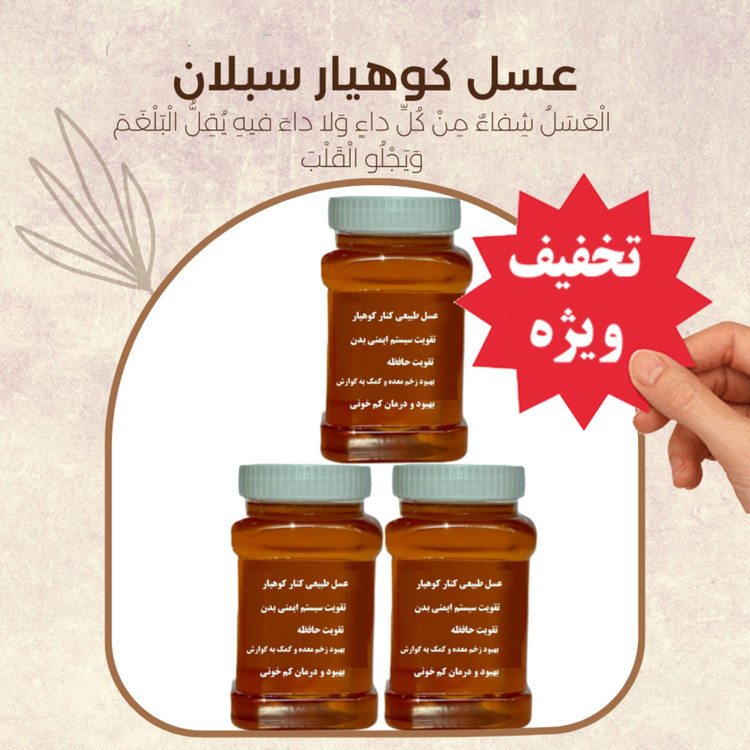 عسل طبیعی کنار اصل سه کیلویی درجه یک ساکارز 4 درصد ( خرید از زنبوردار) ارسال رایگان تخفیف ویژه