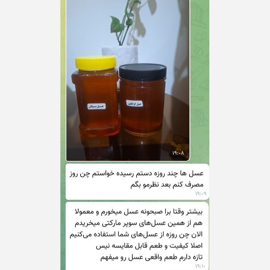 عسل سبلان ( 3 کیلویی) قیمت عمده ارسال رایگان و فوری