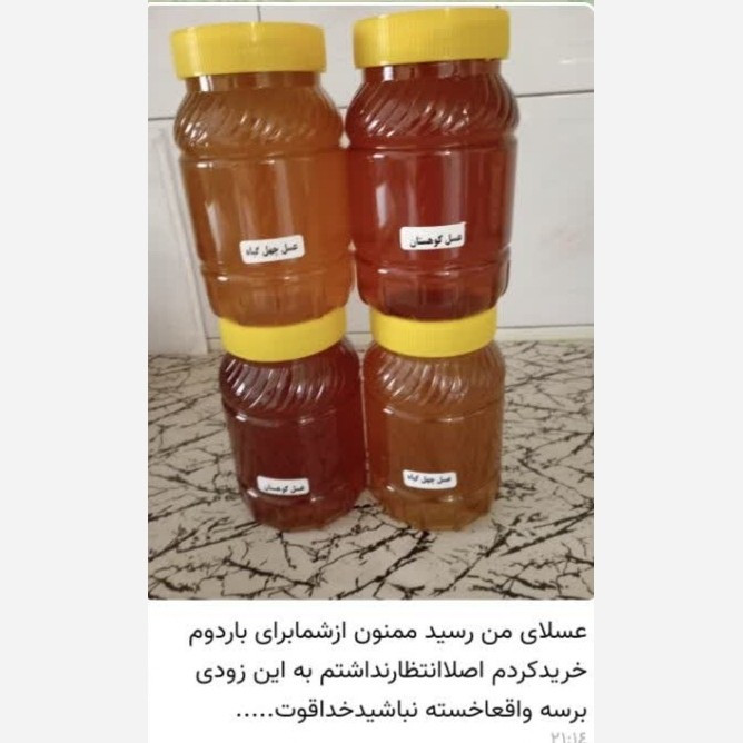 عسل چهل گیاه (3 کیلو ) قیمت عمده ارسال رایگان و سریع