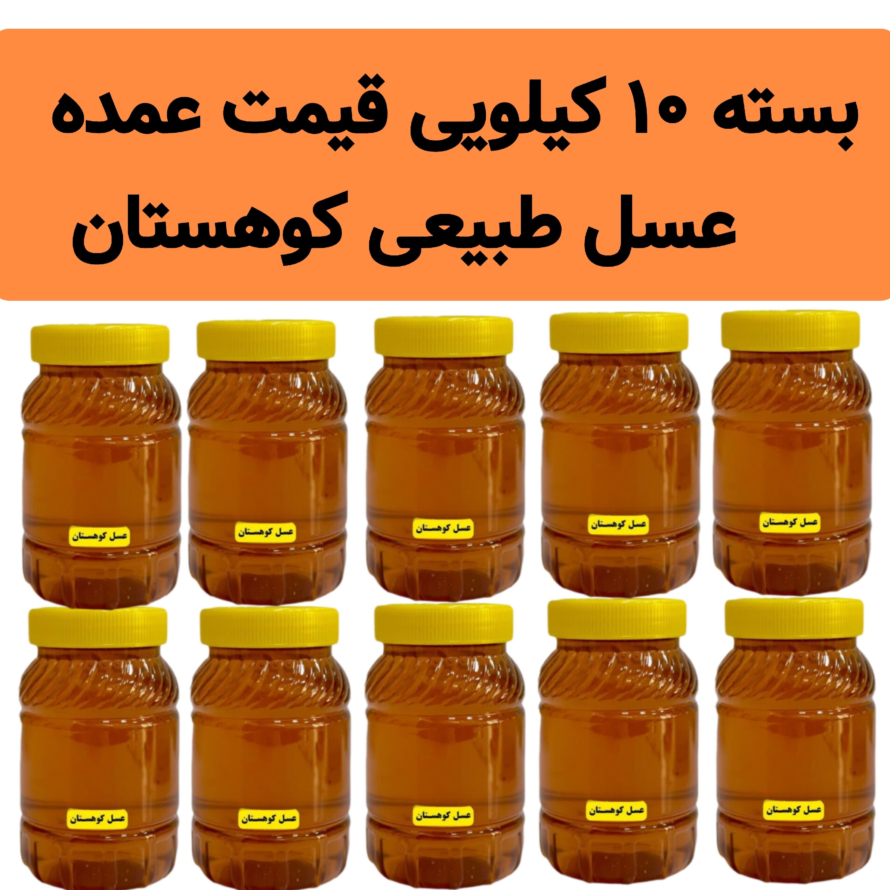 عسل طبیعی کوهستان (10 کیلو در ظرف یک کیلویی)