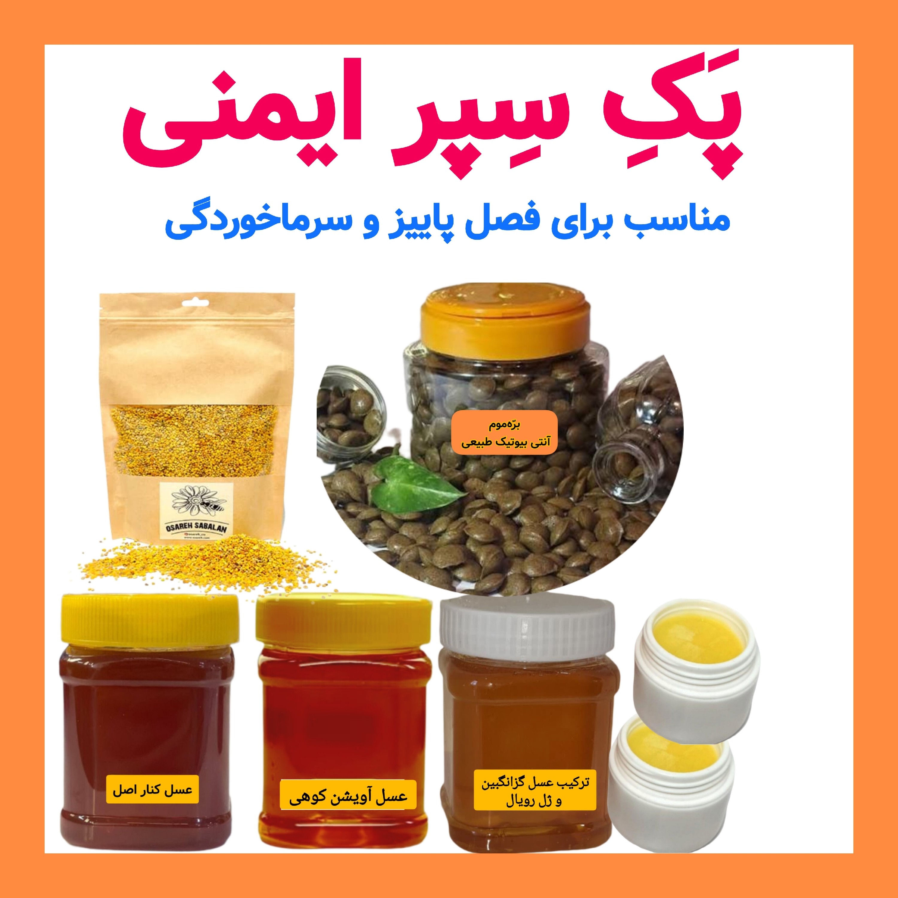 عسل طبیعی ( پَکِ گنجینه پاییزی تقویت سیستم ایمنی )