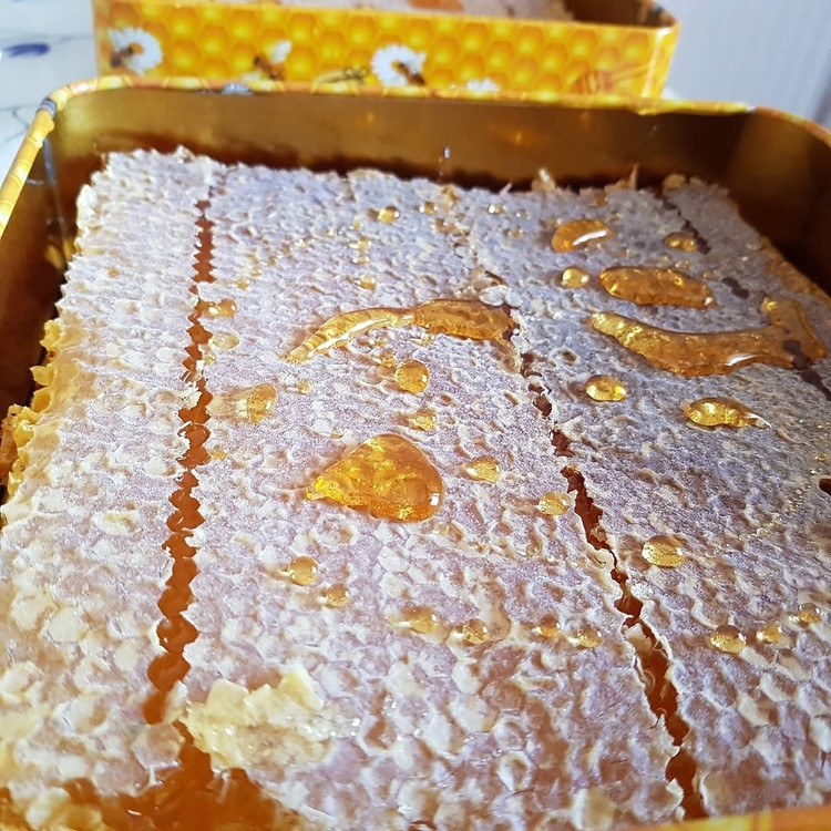 عسل طبیعی 10 کیلویی قیمت عمده( 2 نوع عسل با کیفیت ممتاز)