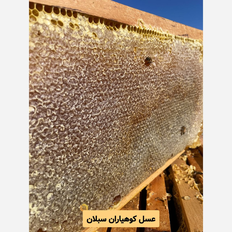 عسل طبیعی 10 کیلویی قیمت عمده( 2 نوع عسل با کیفیت ممتاز)