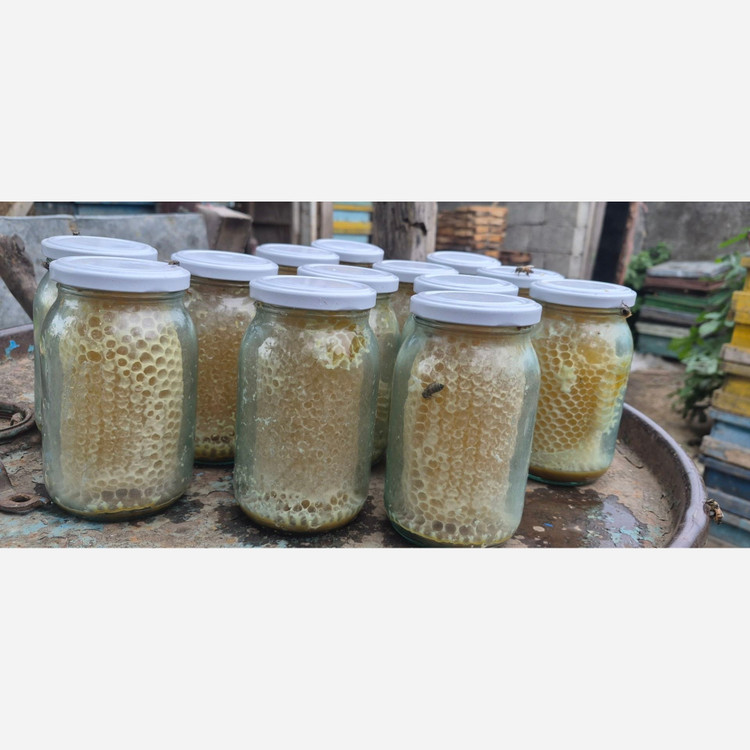 عسل خودبافت 100 درصد طبیعی برداشت اختصاصی بالچی - ظرف شیشه ای - ارسال رایگان و فوری ، خرید مستقیم از زنبوردار