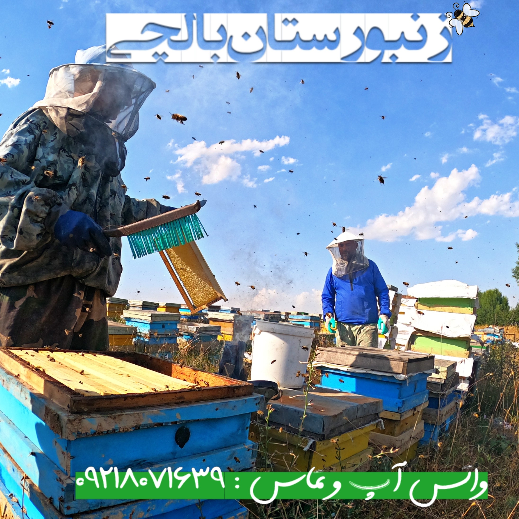 عسل ممتاز بالچی (1 کیلوگرم) با درب پُلُمپ ، ارسال رایگان و فوری ، خرید مستقیم از زنبوردار