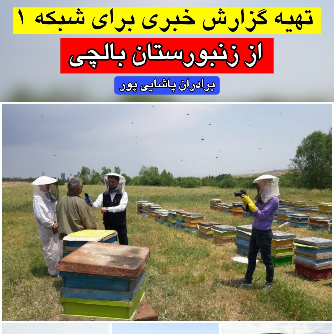 عسل ممتاز بالچی (1 کیلوگرم) با درب پُلُمپ ، ارسال رایگان و فوری ، خرید مستقیم از زنبوردار