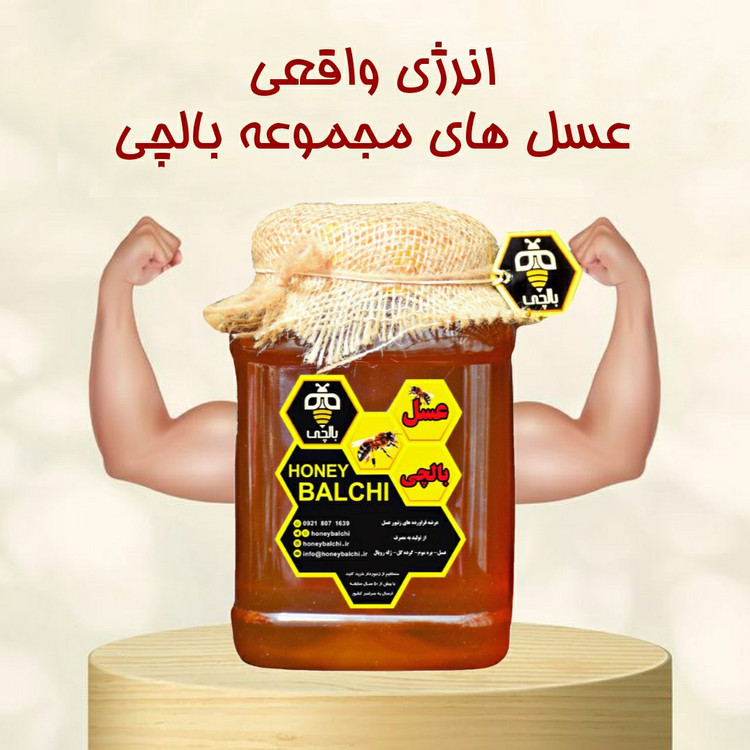 عسل طبیعی جنگلی بالچی (1 کیلوگرم)(بدون موم)(ارسال رایگان و فوری)(خرید مستقیم از زنبوردار نمونه)