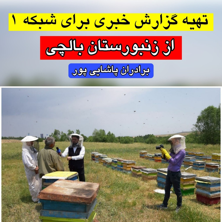عسل سبلان بالچی(2 کیلوگرم) (خرید از زنبوردار نمونه و ارسال رایگان)