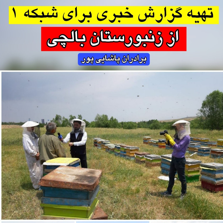 عسل طبیعی ساکارز زیر 3 (1 کیلویی) (از زنبوردار و ارسال رایگان)