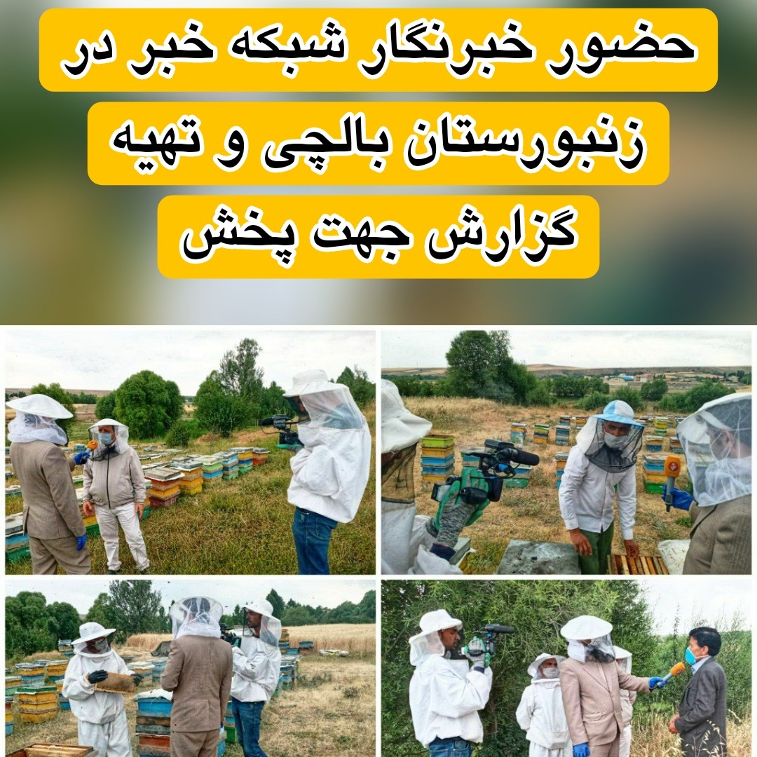 عسل کوهستان بالچی (3 کیلوگرم) (خرید از زنبوردار نمونه و ارسال رایگان)