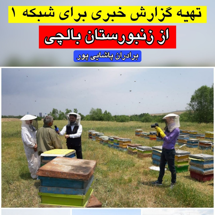 عسل چهل گیاه طبیعی بالچی (2 کیلوگرم) (خرید از زنبوردار نمونه و ارسال رایگان)
