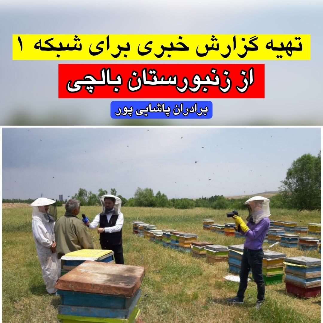 عسل طبیعی کوهستان بالچی (2 کیلوگرم) (خرید از زنبوردار نمونه و ارسال رایگان)
