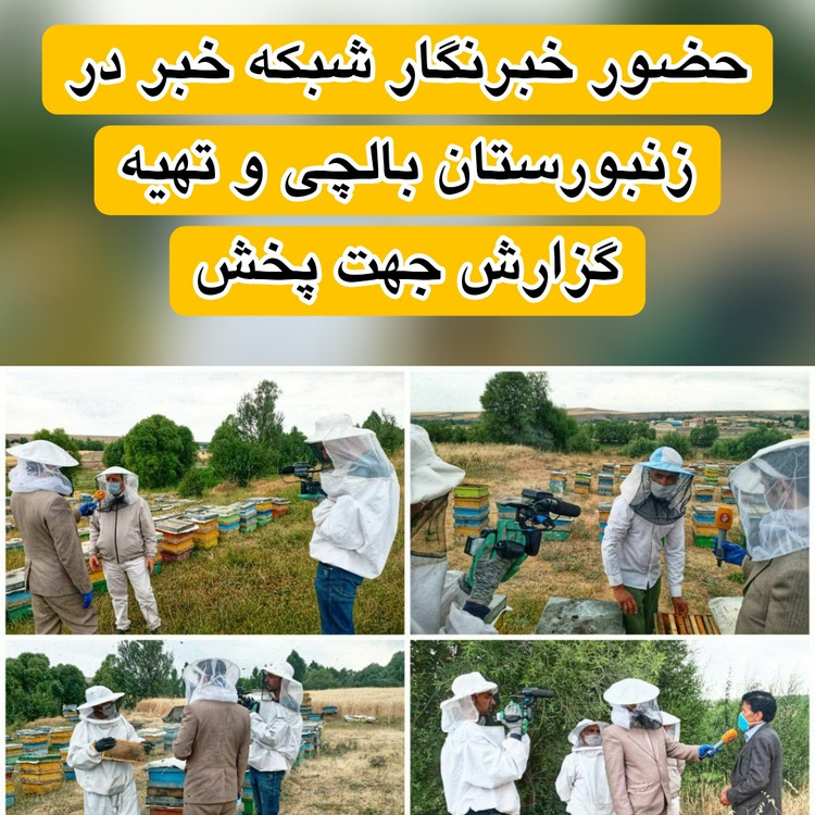 عسل طبیعی کوهستان بالچی (2 کیلوگرم) (خرید از زنبوردار نمونه و ارسال رایگان)