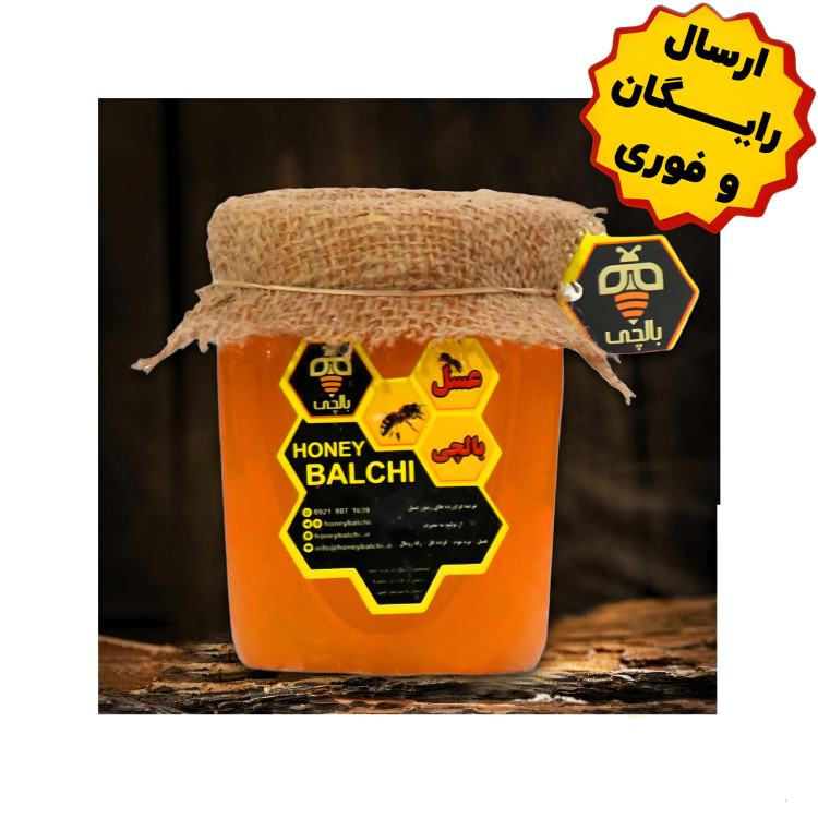 عسل ویژه بالچی با تنوع گیاهی بالا (2 کیلوگرم)( از زنبوردار نمونه و ارسال رایگان)