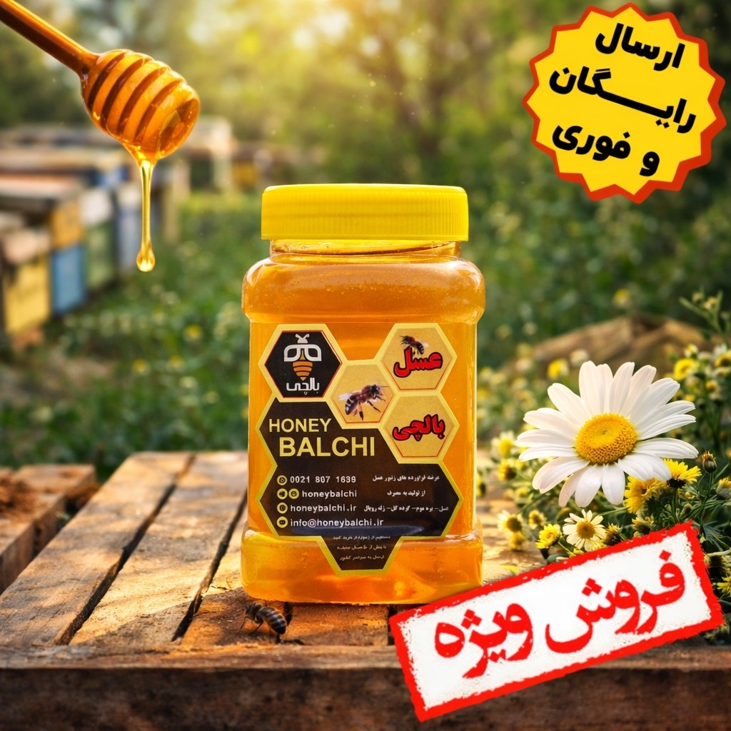 عسل طبیعی ممتاز بالچی (3 کیلوگرم) (خرید از زنبوردار نمونه و ارسال رایگان)