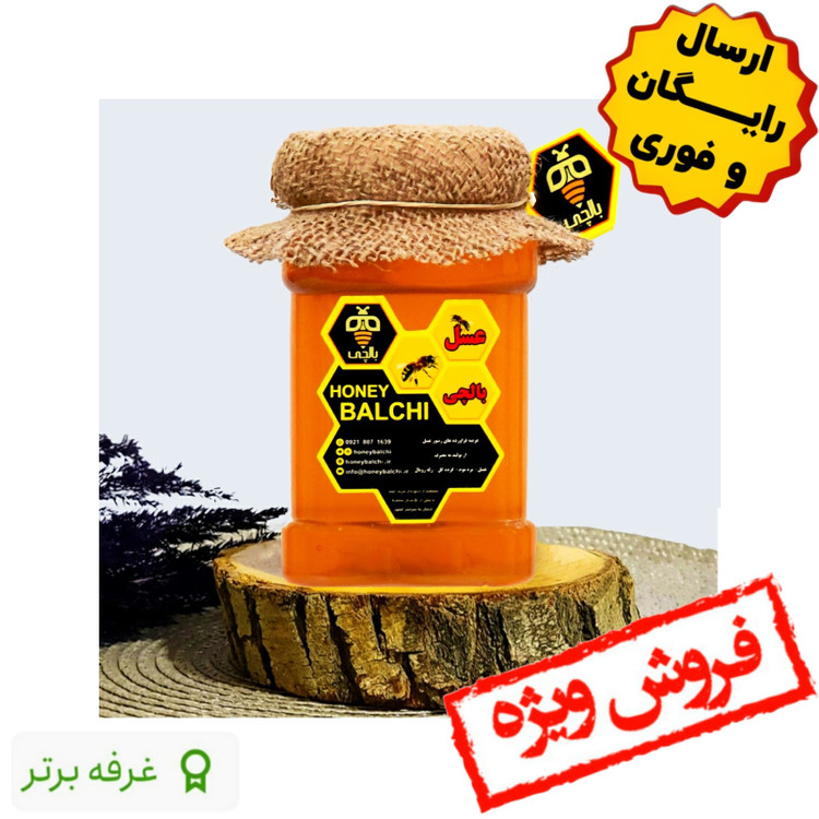عسل طبیعی ممتاز بالچی (3 کیلوگرم) (خرید از زنبوردار نمونه و ارسال رایگان)