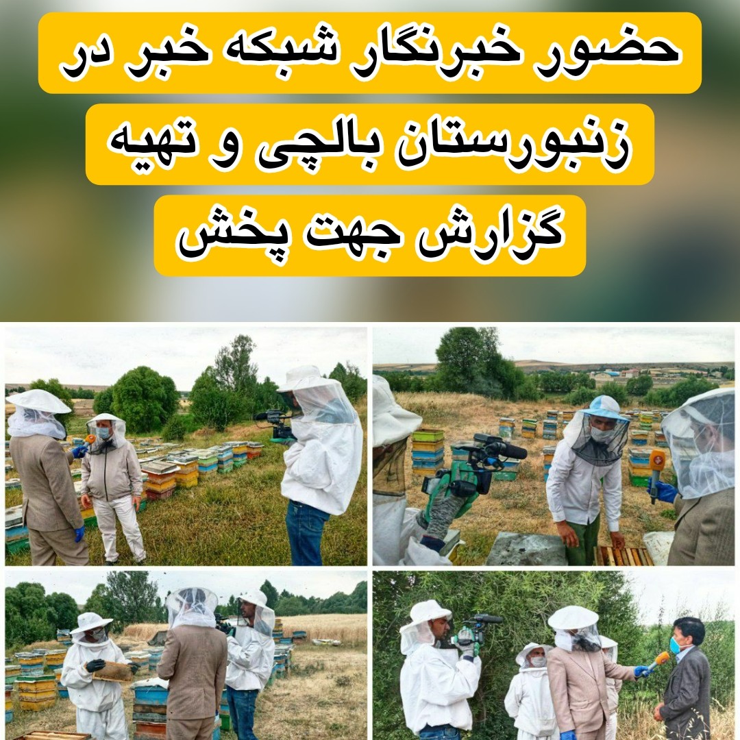 عسل طبیعی سبلان بالچی( 3 کیلوگرم) (خرید از زنبوردار نمونه و ارسال رایگان)